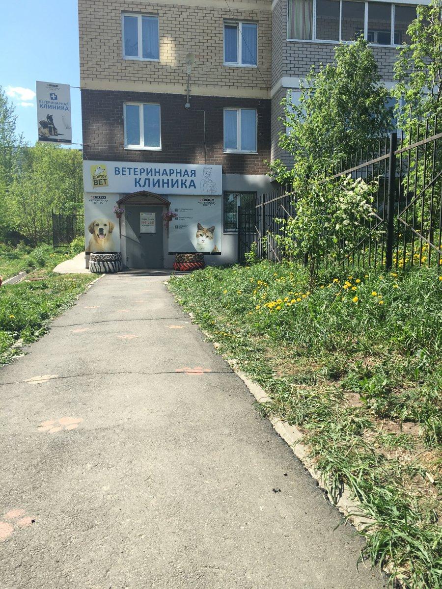 Картинки ДОКТОР ВЕТ КОМСОМОЛЬСК НА АМУРЕ